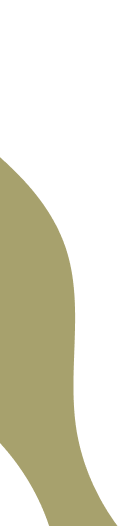 main-slider-shape-1-2