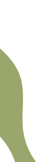 main-slider-shape-1-2
